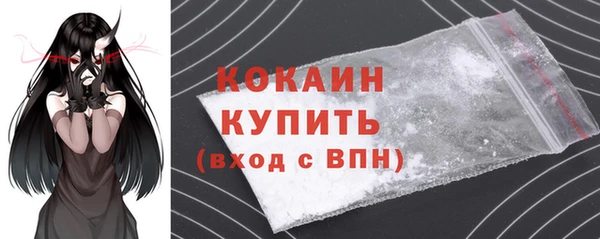 соль ск Волосово
