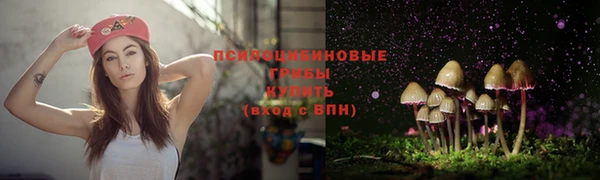соль ск Волосово