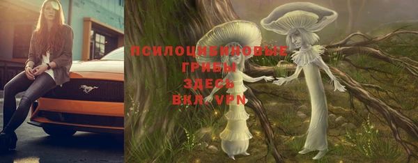 соль ск Волосово