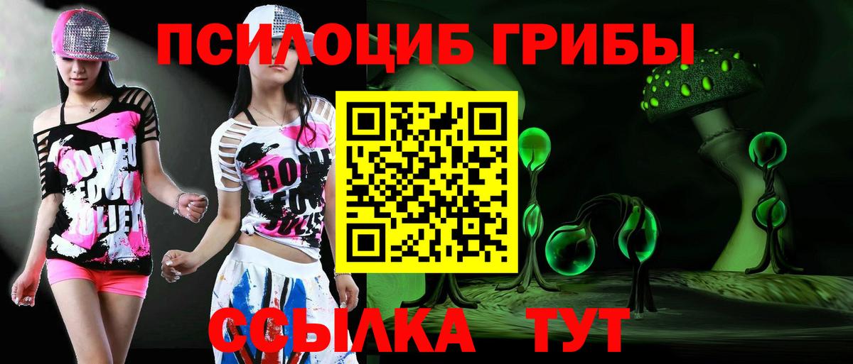 купить наркотик  Псилоцибиновые грибы ЛСД  Вход с VPN  Псилоцибиновые грибы GOLDEN TEACHER  Ноябрьск 