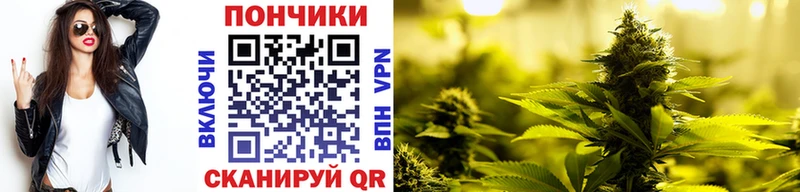 Канабис White Widow  Ноябрьск 